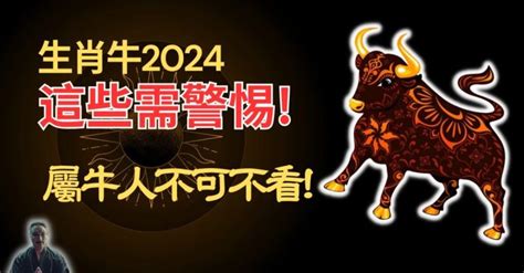 屬牛的|生肖牛：屬牛2024年運勢及運程，2024年屬牛人的全年每月運勢。